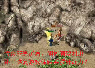 传奇SF黑屏后,如何有效利用补丁恢复游戏体验并提升战力? 传奇SF黑屏后,如何有效利用补丁恢复游戏体验并提升战力?