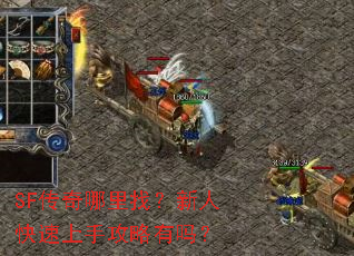 SF传奇哪里找?新人快速上手攻略有吗? SF传奇哪里找?新人快速上手攻略有吗?