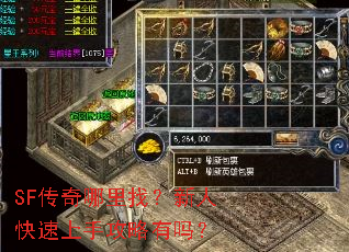SF传奇哪里找?新人快速上手攻略有吗? SF传奇哪里找?新人快速上手攻略有吗?