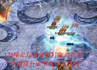176精品私服最新打金点在哪?快速提升战力有什么技巧? 176精品私服最新打金点在哪?快速提升战力有什么技巧?