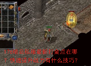 176精品私服最新打金点在哪?快速提升战力有什么技巧? 176精品私服最新打金点在哪?快速提升战力有什么技巧?