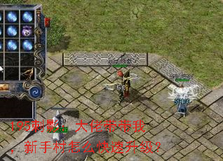 195刺影:大佬带带我,新手村怎么快速升级? 195刺影:大佬带带我,新手村怎么快速升级?