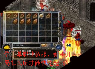 倍工单职业私服,新手开局怎么玩才能快速起飞? 倍工单职业私服,新手开局怎么玩才能快速起飞?
