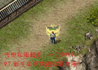 传奇私服超变,一刀99999?新手如何快速称霸全服? 传奇私服超变,一刀99999?新手如何快速称霸全服?