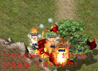 ����˽���������ߣ�����������ת˽�����ư���Ϸ���磿