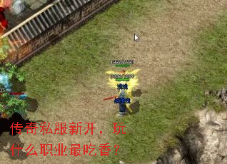 传奇私服新开,玩什么职业最吃香? 传奇私服新开,玩什么职业最吃香?
