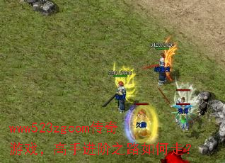 www523zgcom传奇游戏,高手进阶之路如何走? www523zgcom传奇游戏,高手进阶之路如何走?