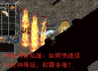 中变传世私服:如何快速提升元神等级,称霸全服? 中变传世私服:如何快速提升元神等级,称霸全服?
