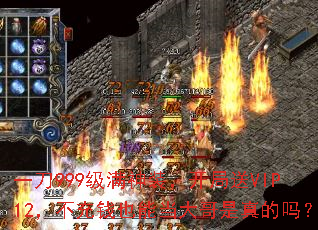 一刀999级满神装,开局送VIP12,不充钱也能当大哥是真的吗? 一刀999级满神装,开局送VIP12,不充钱也能当大哥是真的吗?