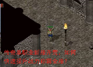 传奇单职业新服开荒,如何快速提升战力称霸全服? 传奇单职业新服开荒,如何快速提升战力称霸全服?