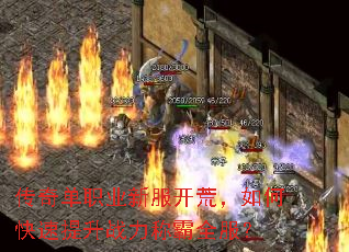 传奇单职业新服开荒,如何快速提升战力称霸全服? 传奇单职业新服开荒,如何快速提升战力称霸全服?