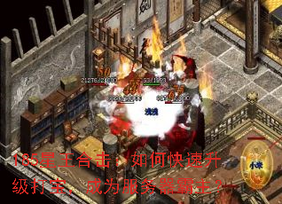 185星王合击:如何快速升级打宝,成为服务器霸主? 185星王合击:如何快速升级打宝,成为服务器霸主?