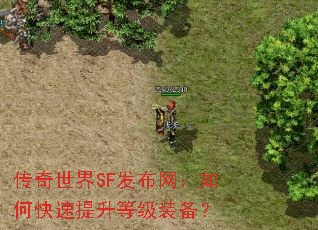 传奇世界SF发布网:如何快速提升等级装备? 传奇世界SF发布网:如何快速提升等级装备?