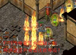 1.76传奇金币合击版:如何快速提升合击技能等级? 1.76传奇金币合击版:如何快速提升合击技能等级?