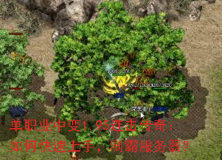 单职业中变1.95连击传奇:如何快速上手,制霸服务器? 单职业中变1.95连击传奇:如何快速上手,制霸服务器?