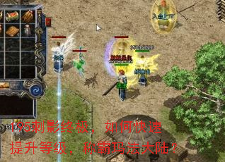 195刺影终极,如何快速提升等级,称霸玛法大陆? 195刺影终极,如何快速提升等级,称霸玛法大陆?