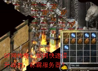 SF网传奇:如何快速提升战力,称霸服务器? SF网传奇:如何快速提升战力,称霸服务器?