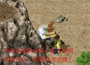 传奇私服发布网:新手如何快速升级,称霸玛法大陆? 传奇私服发布网:新手如何快速升级,称霸玛法大陆?