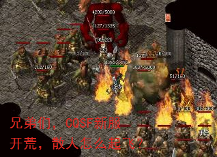 兄弟们,CQSF新服开荒,散人怎么起飞? 兄弟们,CQSF新服开荒,散人怎么起飞?