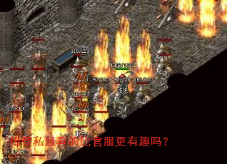 传奇私服真的比官服更有趣吗? 传奇私服真的比官服更有趣吗?