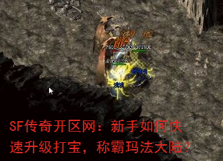 SF传奇开区网:新手如何快速升级打宝,称霸玛法大陆? SF传奇开区网:新手如何快速升级打宝,称霸玛法大陆?