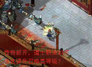 传奇新开,道士职业如何快速提升召唤兽等级? 传奇新开,道士职业如何快速提升召唤兽等级?