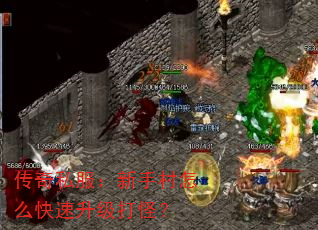 传奇私服:新手村怎么快速升级打怪? 传奇私服:新手村怎么快速升级打怪?