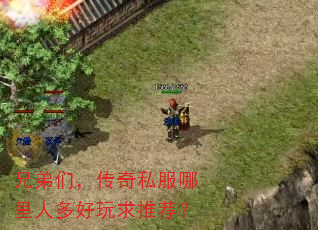 兄弟们,传奇私服哪里人多好玩求推荐? 兄弟们,传奇私服哪里人多好玩求推荐?