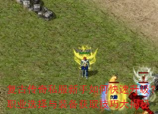 复古传奇私服新手如何快速升级?职业选择与装备获取技巧大揭秘 复古传奇私服新手如何快速升级?职业选择与装备获取技巧大揭秘