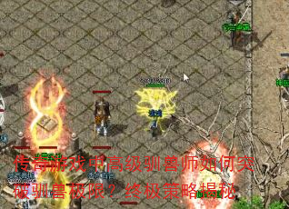 传奇游戏中高级驯兽师如何突破驯兽极限?终极策略揭秘 传奇游戏中高级驯兽师如何突破驯兽极限?终极策略揭秘