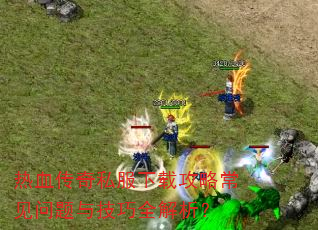 ��Ѫ����˽�����ع��Գ��������뼼��ȫ������