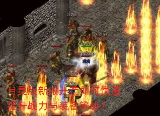月灵版新服开荒如何快速提升战力与装备等级? 月灵版新服开荒如何快速提升战力与装备等级?
