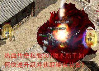 热血传奇私服003版本新手如何快速升级并获取稀有装备? 热血传奇私服003版本新手如何快速升级并获取稀有装备?