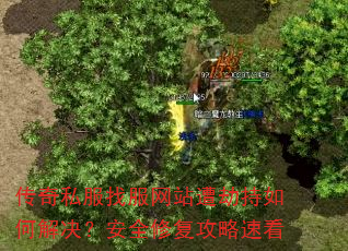 传奇私服找服网站遭劫持如何解决?安全修复攻略速看 传奇私服找服网站遭劫持如何解决?安全修复攻略速看