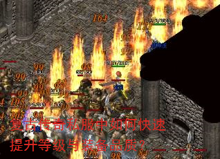 复古传奇私服中如何快速提升等级与装备品质? 复古传奇私服中如何快速提升等级与装备品质?