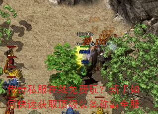 传奇私服在线免费玩?新手如何快速获取顶级装备称霸全服 传奇私服在线免费玩?新手如何快速获取顶级装备称霸全服