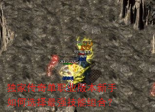 独家传奇单职业版本新手如何选择最强技能组合? 独家传奇单职业版本新手如何选择最强技能组合?