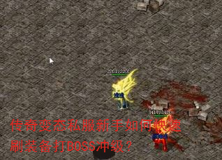 传奇变态私服新手如何快速刷装备打BOSS冲级? 传奇变态私服新手如何快速刷装备打BOSS冲级?
