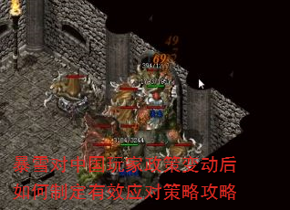 暴雪对中国玩家政策变动后如何制定有效应对策略攻略 暴雪对中国玩家政策变动后如何制定有效应对策略攻略