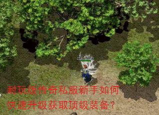 耐玩版传奇私服新手如何快速升级获取顶级装备? 耐玩版传奇私服新手如何快速升级获取顶级装备?