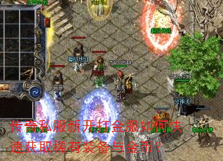 传奇私服新开打金服如何快速获取稀有装备与金币? 传奇私服新开打金服如何快速获取稀有装备与金币?