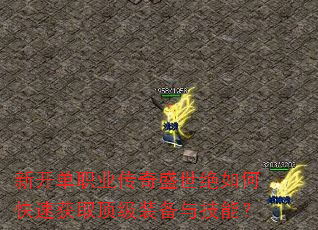 新开单职业传奇盛世绝如何快速获取顶级装备与技能? 新开单职业传奇盛世绝如何快速获取顶级装备与技能?