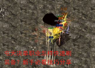 屯天决单职业怎样快速刷装备?新手必看技巧分享 屯天决单职业怎样快速刷装备?新手必看技巧分享