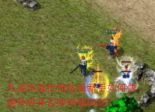 久游热血传奇私服新手如何快速升级并击败终极BOSS? 久游热血传奇私服新手如何快速升级并击败终极BOSS?