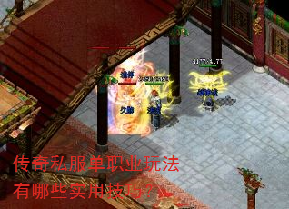 传奇私服单职业玩法有哪些实用技巧? 传奇私服单职业玩法有哪些实用技巧?