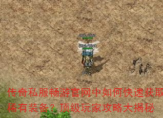 传奇私服畅游官网中如何快速获取稀有装备?顶级玩家攻略大揭秘 传奇私服畅游官网中如何快速获取稀有装备?顶级玩家攻略大揭秘