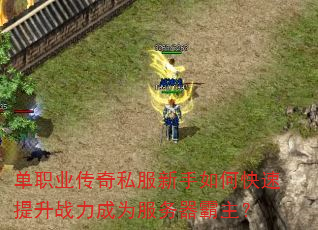 单职业传奇私服新手如何快速提升战力成为服务器霸主? 单职业传奇私服新手如何快速提升战力成为服务器霸主?