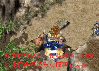 盛大传奇热血传奇私服新手如何快速提升等级与获取稀有装备? 盛大传奇热血传奇私服新手如何快速提升等级与获取稀有装备?