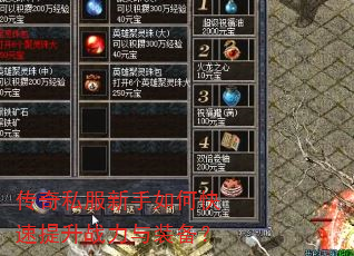 传奇私服新手如何快速提升战力与装备? 传奇私服新手如何快速提升战力与装备?