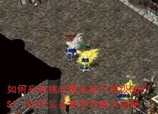 如何高效挑战黄金皓月顶级BOSS?195区装备掉落攻略大揭秘 如何高效挑战黄金皓月顶级BOSS?195区装备掉落攻略大揭秘